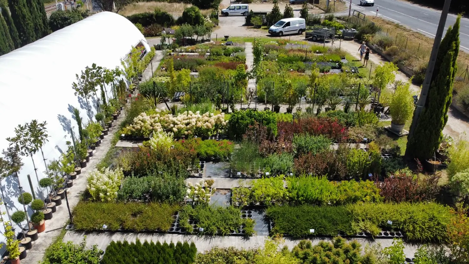 vue aérienne pépinière